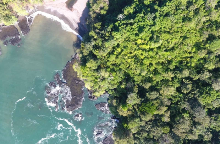 Luftaufnahme, Wald und Meer