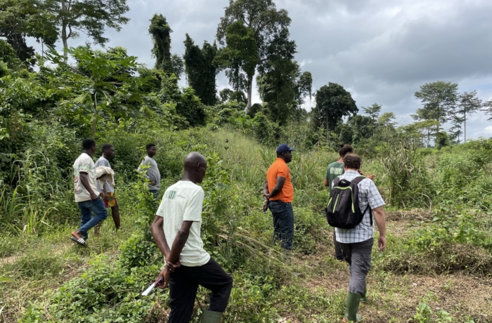 Team walking through farm, Côte d'Ivoire