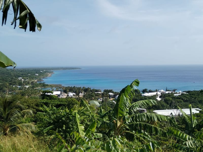 Landscape, Caribean, Palm, Ocean