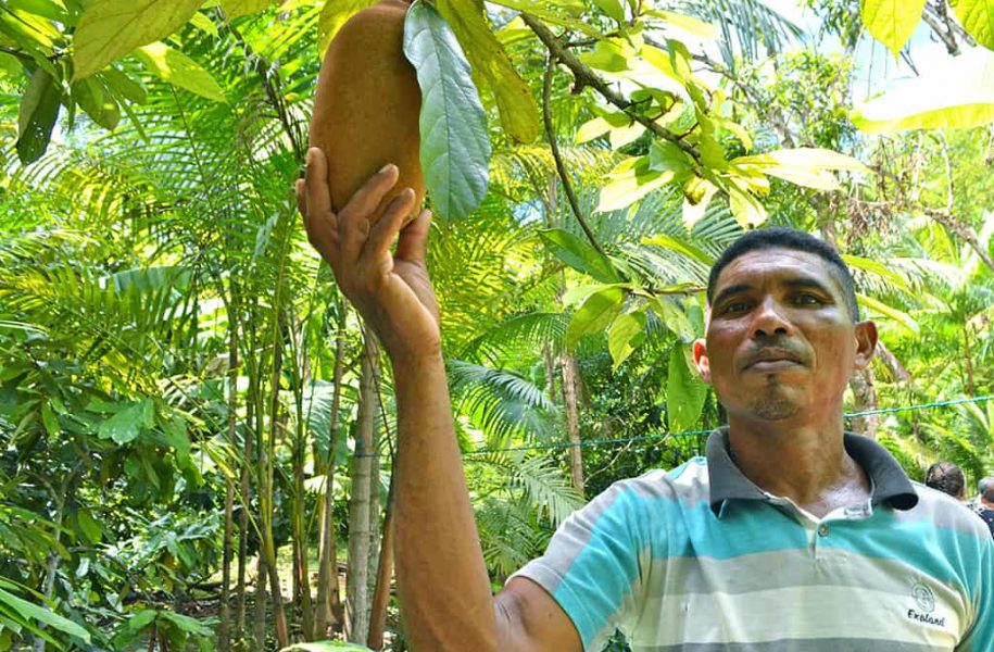 Man posing with cassava